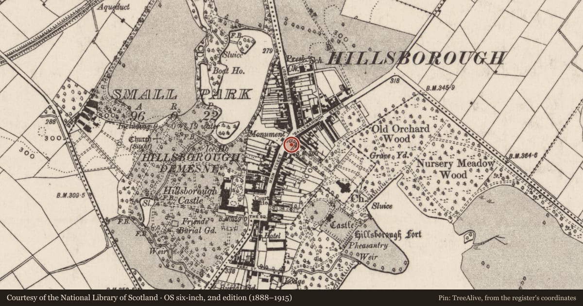 Ordnance Survey six-inch map, 2nd edition (1888–1915) covering the location of War Memorial, Hillsborough, Lisburn and Castlereagh, with a pin at the register's coordinates