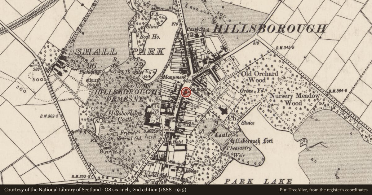 Ordnance Survey six-inch map, 2nd edition (1888–1915) covering the location of Candy Plum, Hillsborough, Lisburn and Castlereagh, with a pin at the register's coordinates