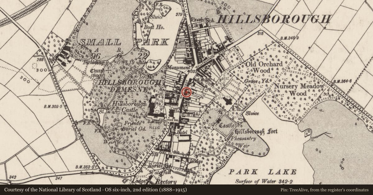 Ordnance Survey six-inch map, 2nd edition (1888–1915) covering the location of 16 Main Street, Hillsborough, Lisburn and Castlereagh, with a pin at the register's coordinates