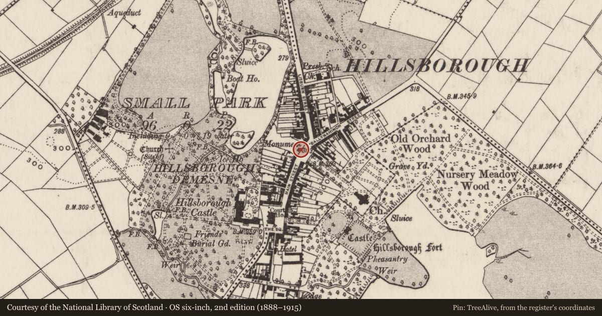 Ordnance Survey six-inch map, 2nd edition (1888–1915) covering the location of Marquis of Downshire Monument, Hillsborough, Lisburn and Castlereagh, with a pin at the register's coordinates
