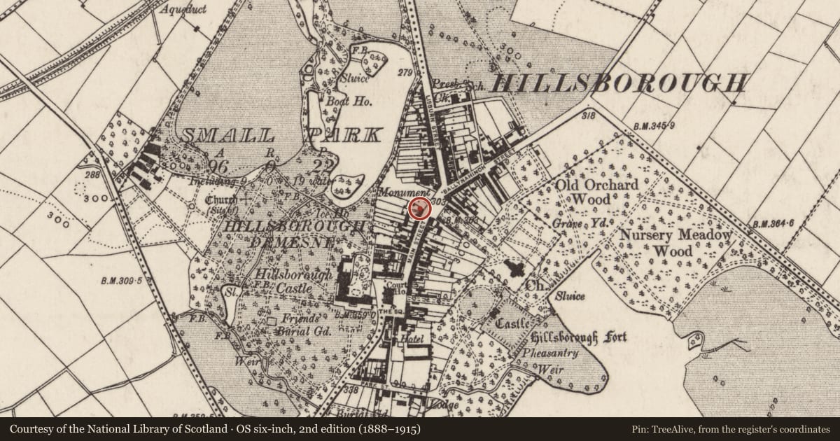 Ordnance Survey six-inch map, 2nd edition (1888–1915) covering the location of 5 Main Street, Hillsborough, Lisburn and Castlereagh, with a pin at the register's coordinates