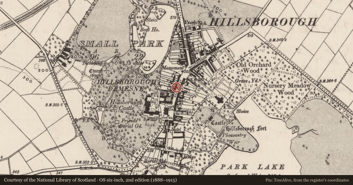 Ordnance Survey six-inch map, 2nd edition (1888–1915) covering the location of 19 Main Street, Hillsborough, Lisburn and Castlereagh, with a pin at the register's coordinates