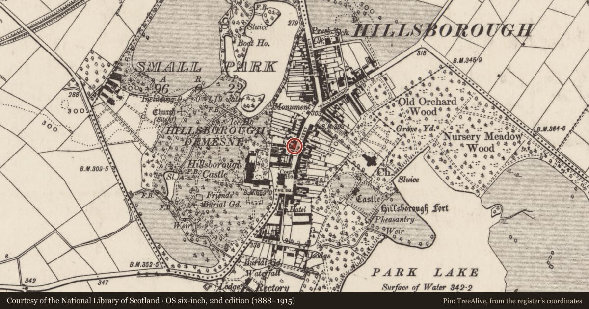 Ordnance Survey six-inch map, 2nd edition (1888–1915) covering the location of 25 Main Street, Hillsborough, Lisburn and Castlereagh, with a pin at the register's coordinates