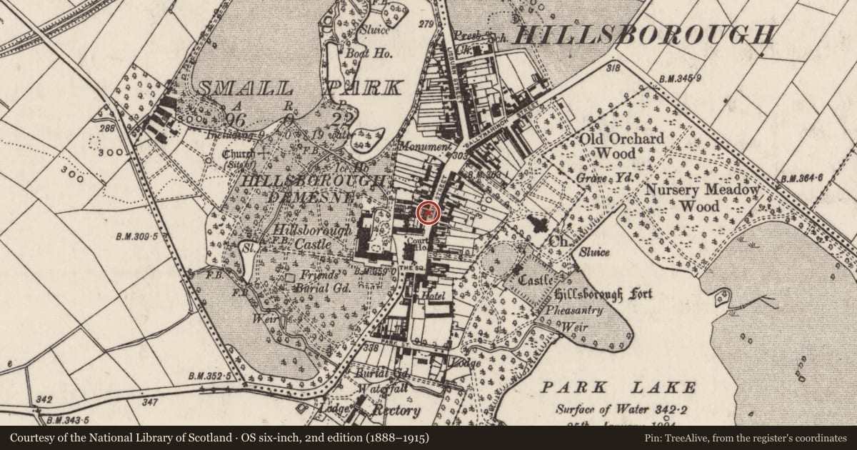 Ordnance Survey six-inch map, 2nd edition (1888–1915) covering the location of 29 Main Street, Hillsborough, Lisburn and Castlereagh, with a pin at the register's coordinates