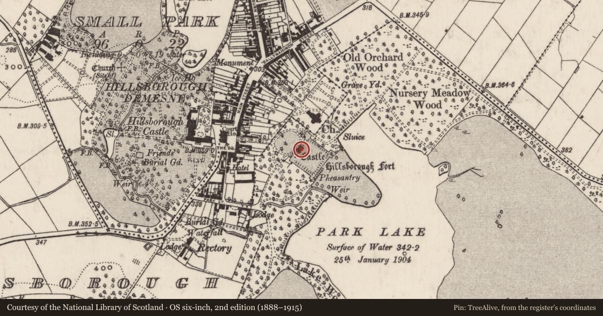 Ordnance Survey six-inch map, 2nd edition (1888–1915) covering the location of Hillsborough Fort, Lisburn and Castlereagh, with a pin at the register's coordinates