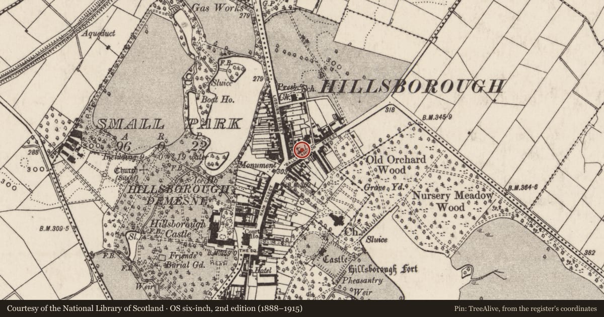 Ordnance Survey six-inch map, 2nd edition (1888–1915) covering the location of 10 Ballynahinch Street, Lisburn and Castlereagh, with a pin at the register's coordinates