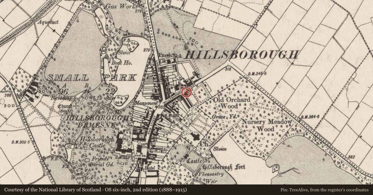 Ordnance Survey six-inch map, 2nd edition (1888–1915) covering the location of Harty House, Hillsborough, Lisburn and Castlereagh, with a pin at the register's coordinates