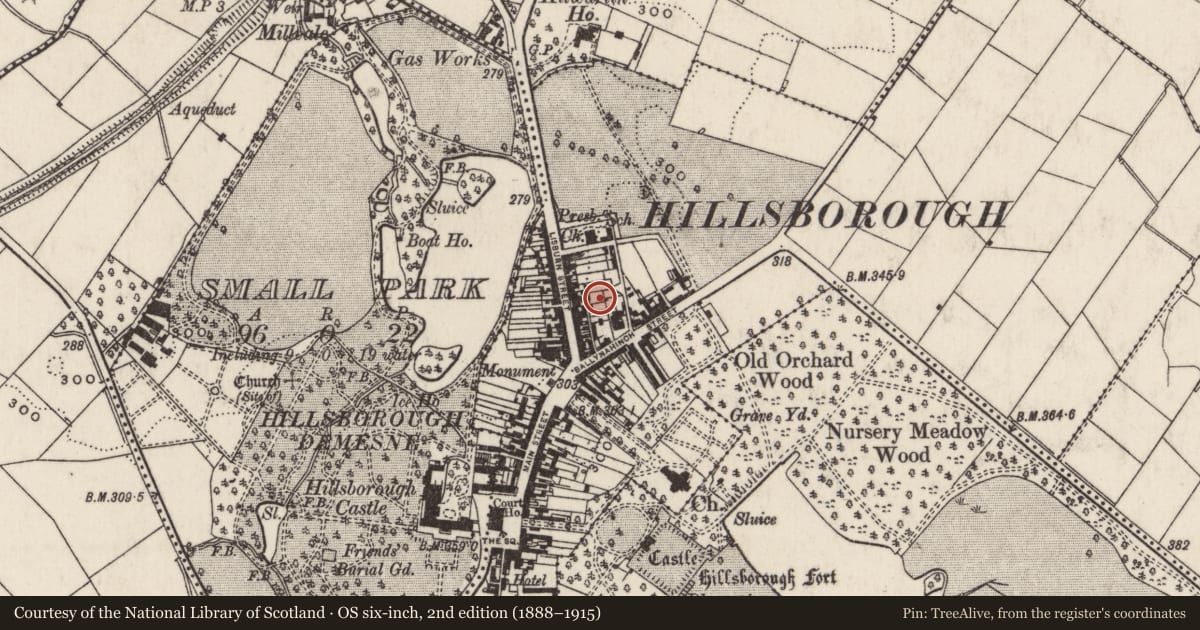 Ordnance Survey six-inch map, 2nd edition (1888–1915) covering the location of 26-30 Lisburn Street, Lisburn and Castlereagh, with a pin at the register's coordinates