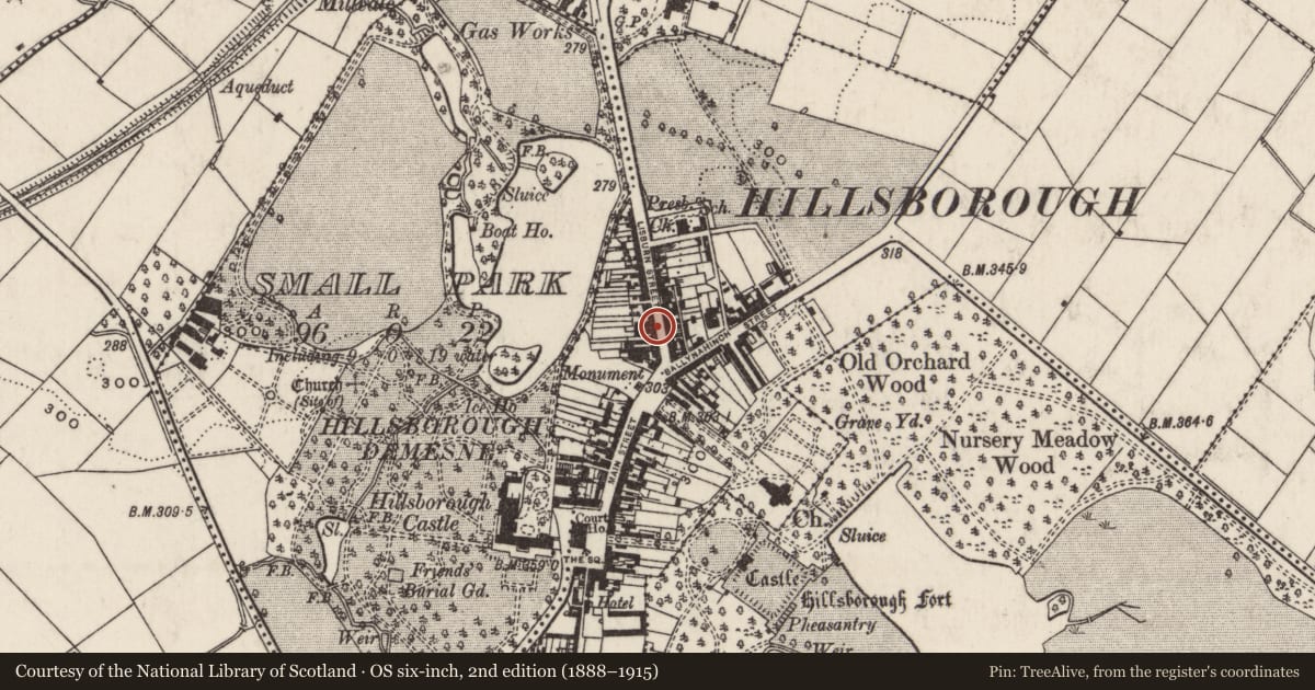 Ordnance Survey six-inch map, 2nd edition (1888–1915) covering the location of The Pharmacy, Lisburn and Castlereagh, with a pin at the register's coordinates