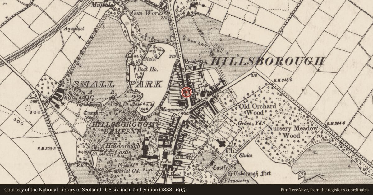Ordnance Survey six-inch map, 2nd edition (1888–1915) covering the location of 20 Lisburn Street, Hillsborough, Lisburn and Castlereagh, with a pin at the register's coordinates