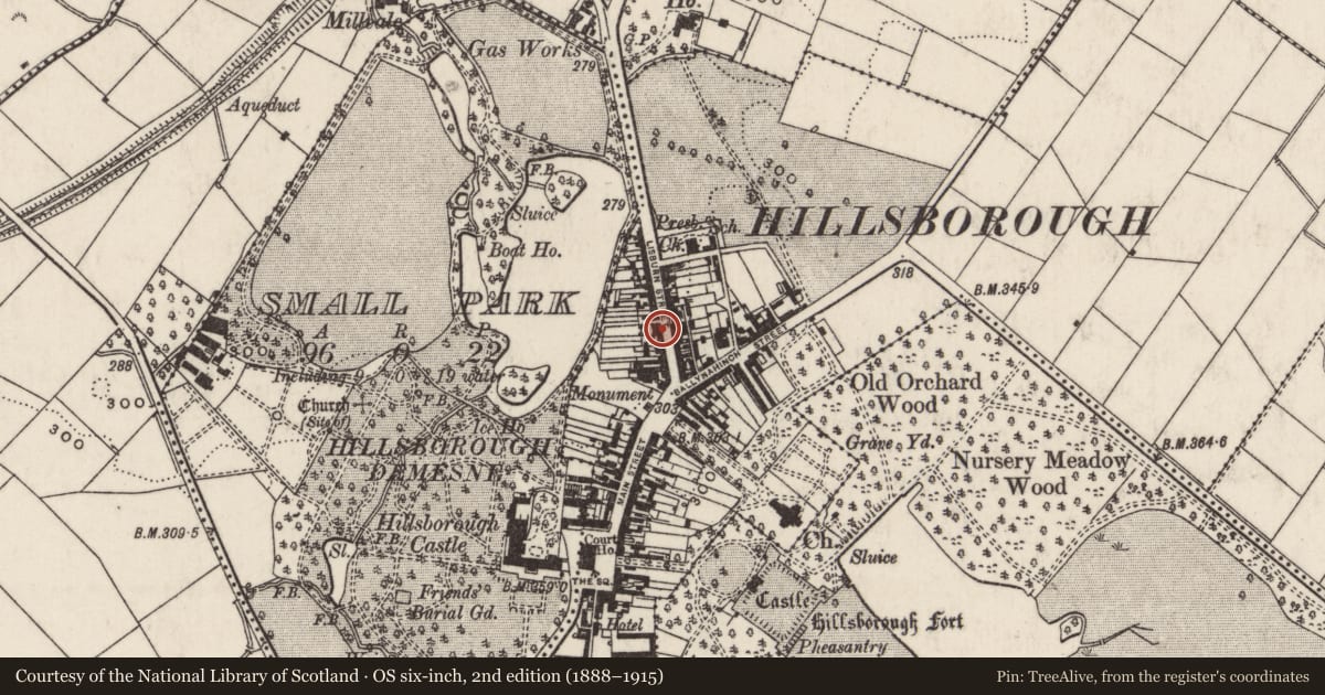 Ordnance Survey six-inch map, 2nd edition (1888–1915) covering the location of 22 Lisburn Street, Hillsborough, Lisburn and Castlereagh, with a pin at the register's coordinates