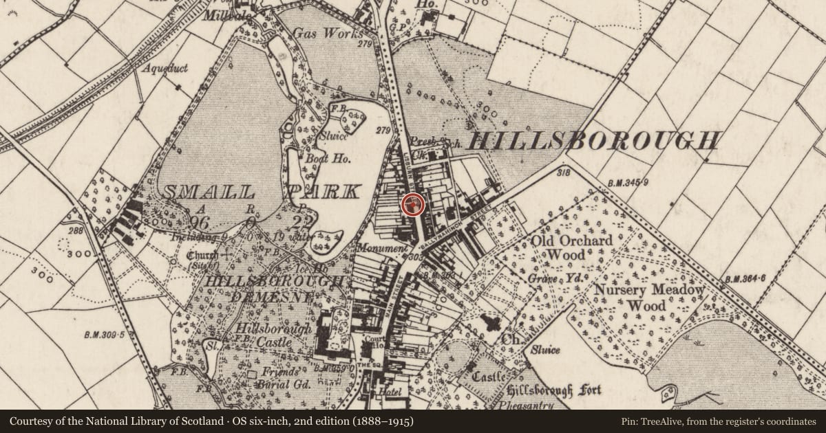 Ordnance Survey six-inch map, 2nd edition (1888–1915) covering the location of 24 Lisburn Street, Hillsborough, Lisburn and Castlereagh, with a pin at the register's coordinates
