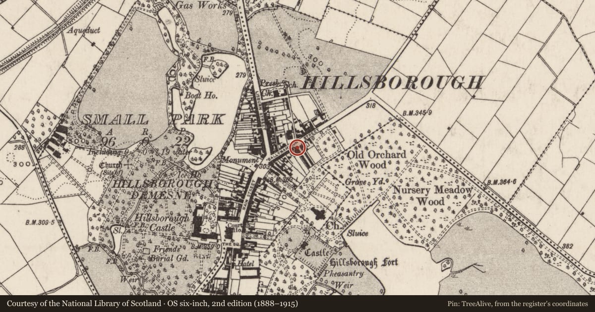 Ordnance Survey six-inch map, 2nd edition (1888–1915) covering the location of 1 Arthur Street, Hillsborough, Lisburn and Castlereagh, with a pin at the register's coordinates