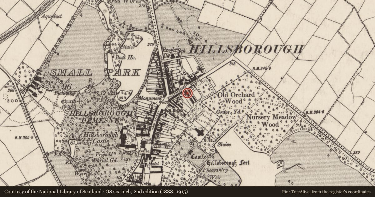 Ordnance Survey six-inch map, 2nd edition (1888–1915) covering the location of 3 Arthur Street, Hillsborough, Lisburn and Castlereagh, with a pin at the register's coordinates