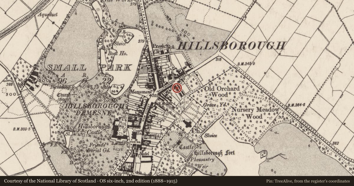 Ordnance Survey six-inch map, 2nd edition (1888–1915) covering the location of 5 Arthur Street, Hillsborough, Lisburn and Castlereagh, with a pin at the register's coordinates