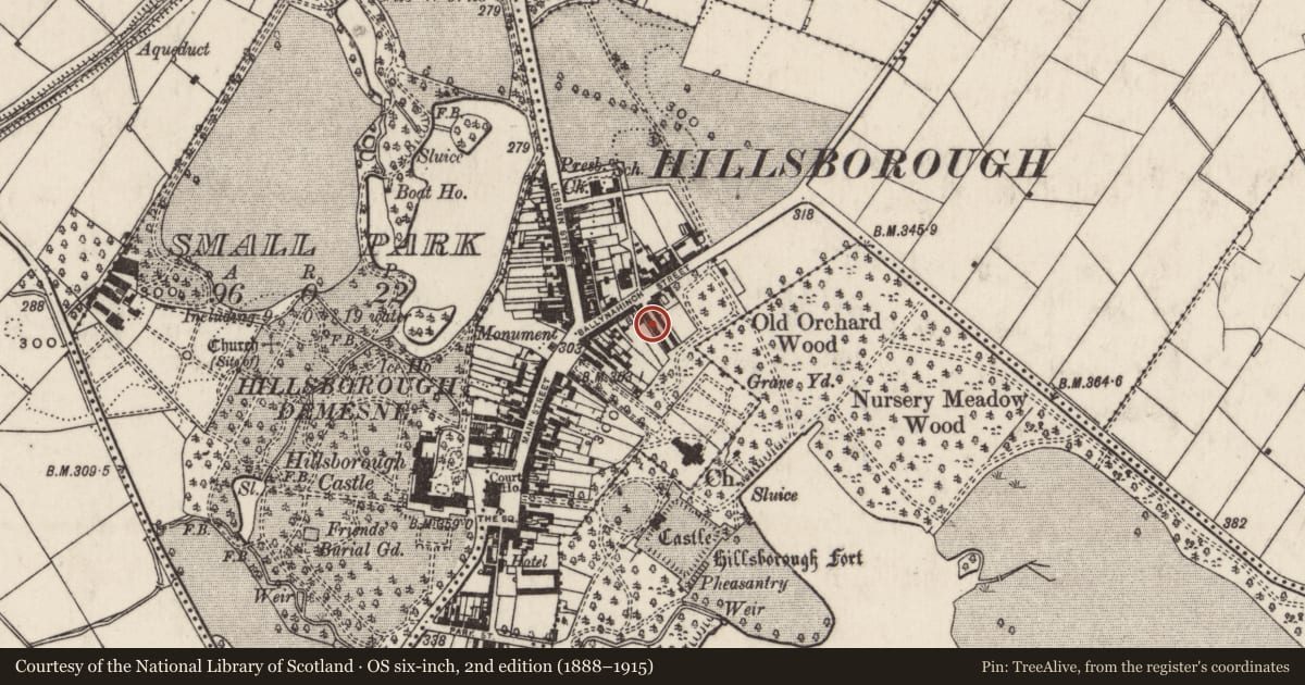 Ordnance Survey six-inch map, 2nd edition (1888–1915) covering the location of 7 Arthur Street, Hillsborough, Lisburn and Castlereagh, with a pin at the register's coordinates