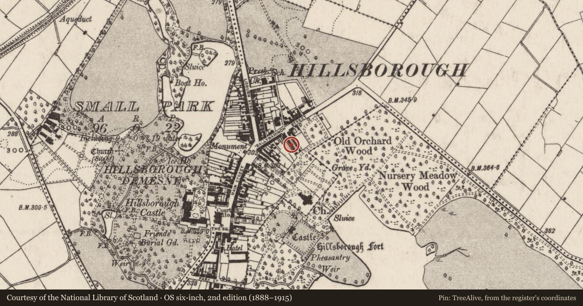 Ordnance Survey six-inch map, 2nd edition (1888–1915) covering the location of 11 Arthur Street, Hillsborough, Lisburn and Castlereagh, with a pin at the register's coordinates