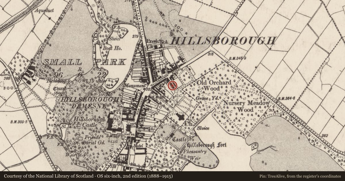Ordnance Survey six-inch map, 2nd edition (1888–1915) covering the location of 13 Arthur Street, Hillsborough, Lisburn and Castlereagh, with a pin at the register's coordinates