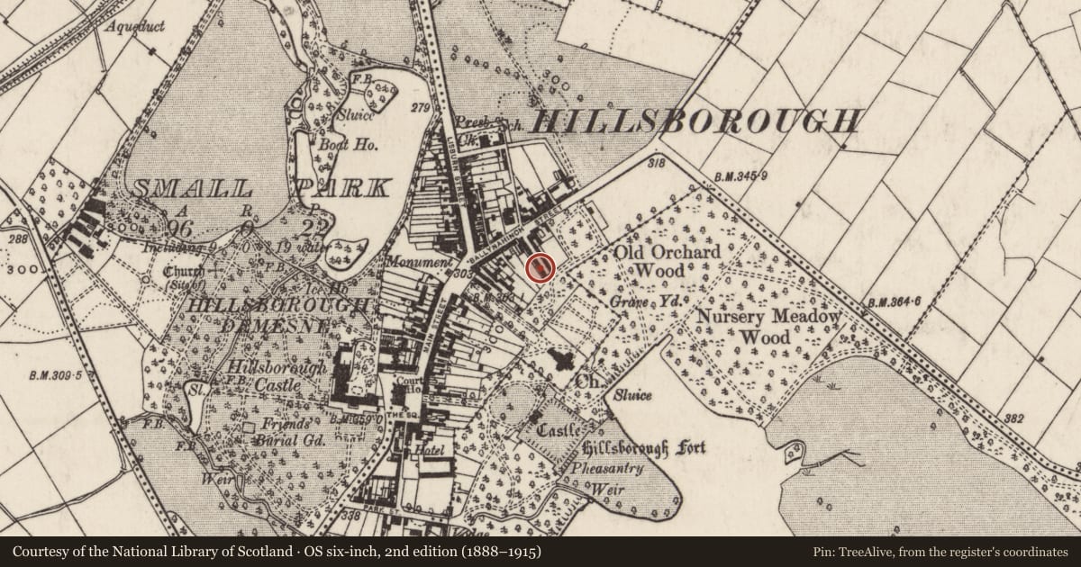 Ordnance Survey six-inch map, 2nd edition (1888–1915) covering the location of 17 Arthur Street, Hillsborough, Lisburn and Castlereagh, with a pin at the register's coordinates
