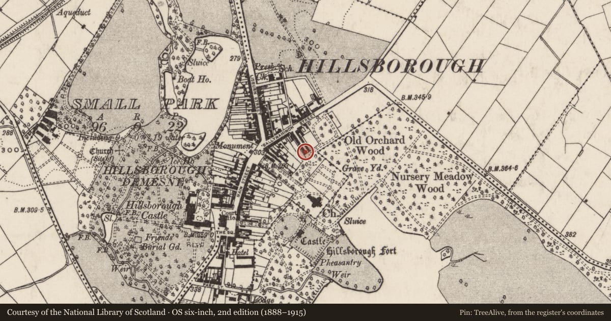 Ordnance Survey six-inch map, 2nd edition (1888–1915) covering the location of 21 Arthur Street, Hillsborough, Lisburn and Castlereagh, with a pin at the register's coordinates