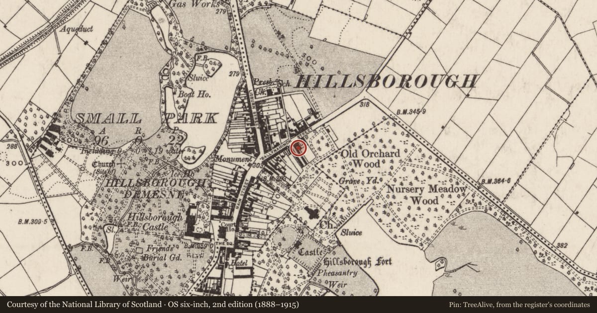 Ordnance Survey six-inch map, 2nd edition (1888–1915) covering the location of 6 Arthur Street, Hillsborough, Lisburn and Castlereagh, with a pin at the register's coordinates