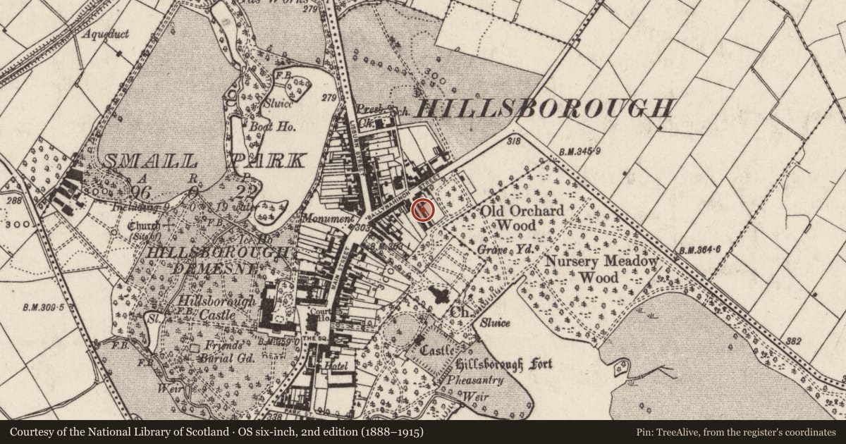 Ordnance Survey six-inch map, 2nd edition (1888–1915) covering the location of 12 Arthur Street, Hillsborough, Lisburn and Castlereagh, with a pin at the register's coordinates
