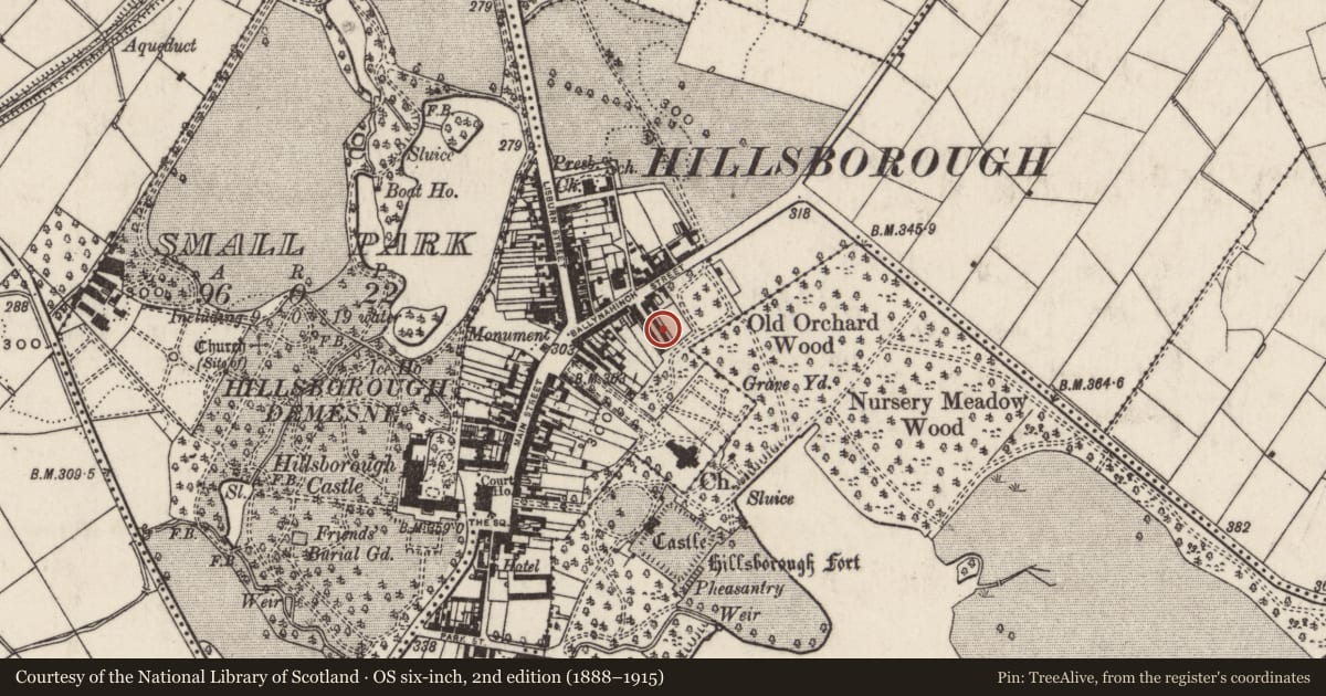Ordnance Survey six-inch map, 2nd edition (1888–1915) covering the location of 16 Arthur Street, Hillsborough, Lisburn and Castlereagh, with a pin at the register's coordinates