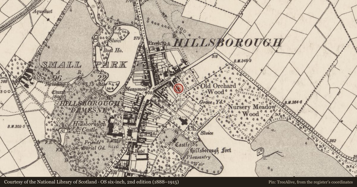 Ordnance Survey six-inch map, 2nd edition (1888–1915) covering the location of 18 Arthur Street, Hillsborough, Lisburn and Castlereagh, with a pin at the register's coordinates