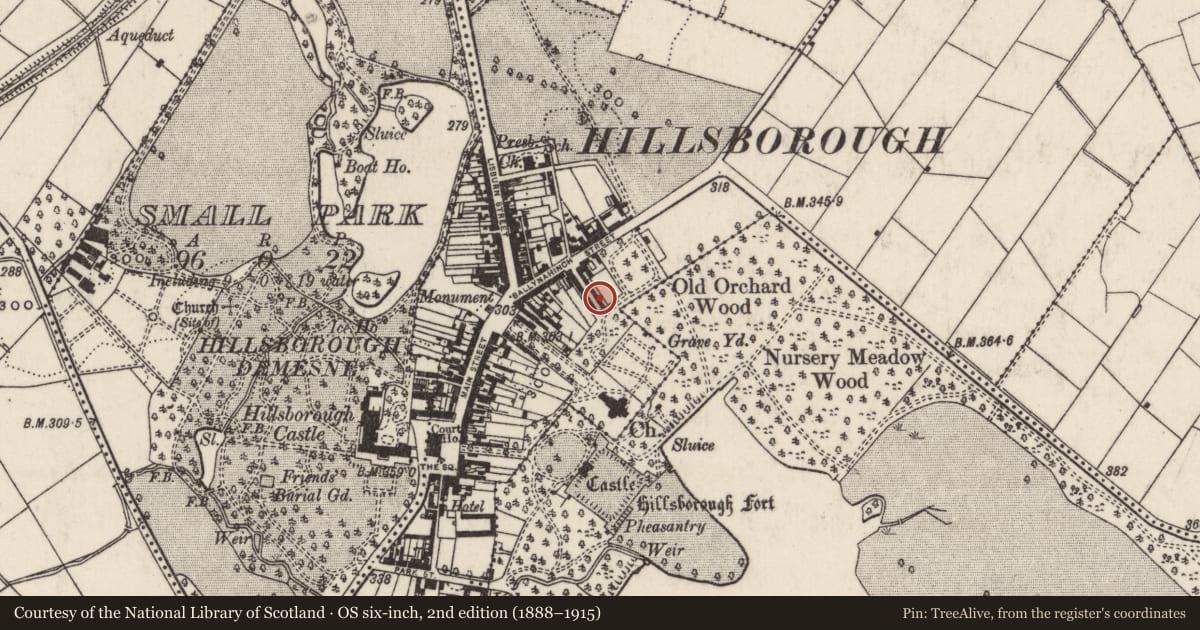Ordnance Survey six-inch map, 2nd edition (1888–1915) covering the location of 20 Arthur Street, Hillborough, Lisburn and Castlereagh, with a pin at the register's coordinates