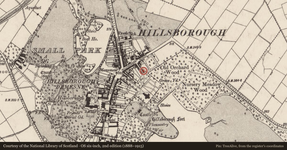 Ordnance Survey six-inch map, 2nd edition (1888–1915) covering the location of 22 Arthur Street, Hillsborough, Lisburn and Castlereagh, with a pin at the register's coordinates