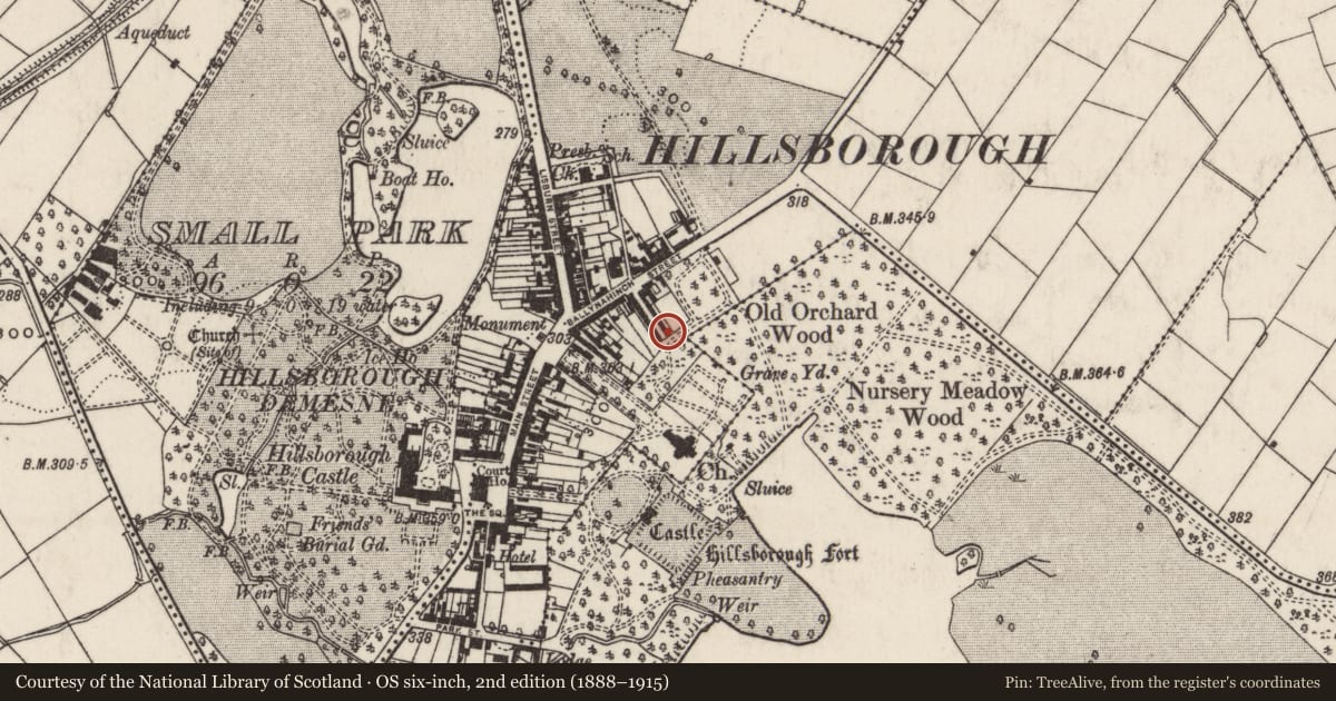 Ordnance Survey six-inch map, 2nd edition (1888–1915) covering the location of 24 Arthur Street, Hillsborough, Lisburn and Castlereagh, with a pin at the register's coordinates