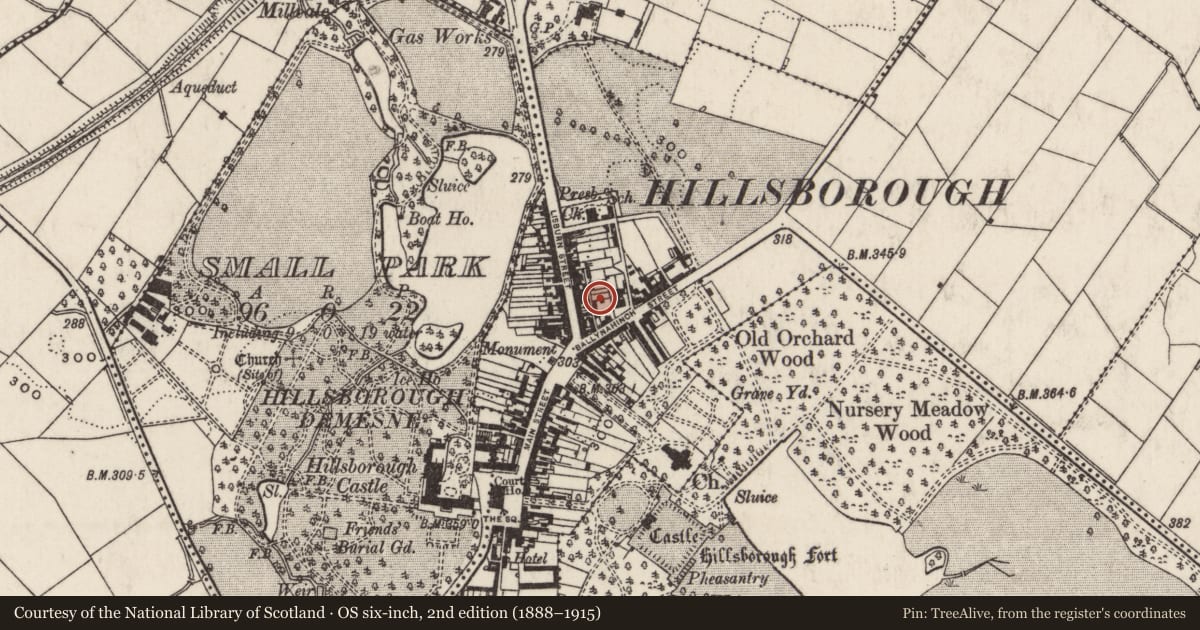 Ordnance Survey six-inch map, 2nd edition (1888–1915) covering the location of 32 Lisburn Street, Hillsborough, Lisburn and Castlereagh, with a pin at the register's coordinates