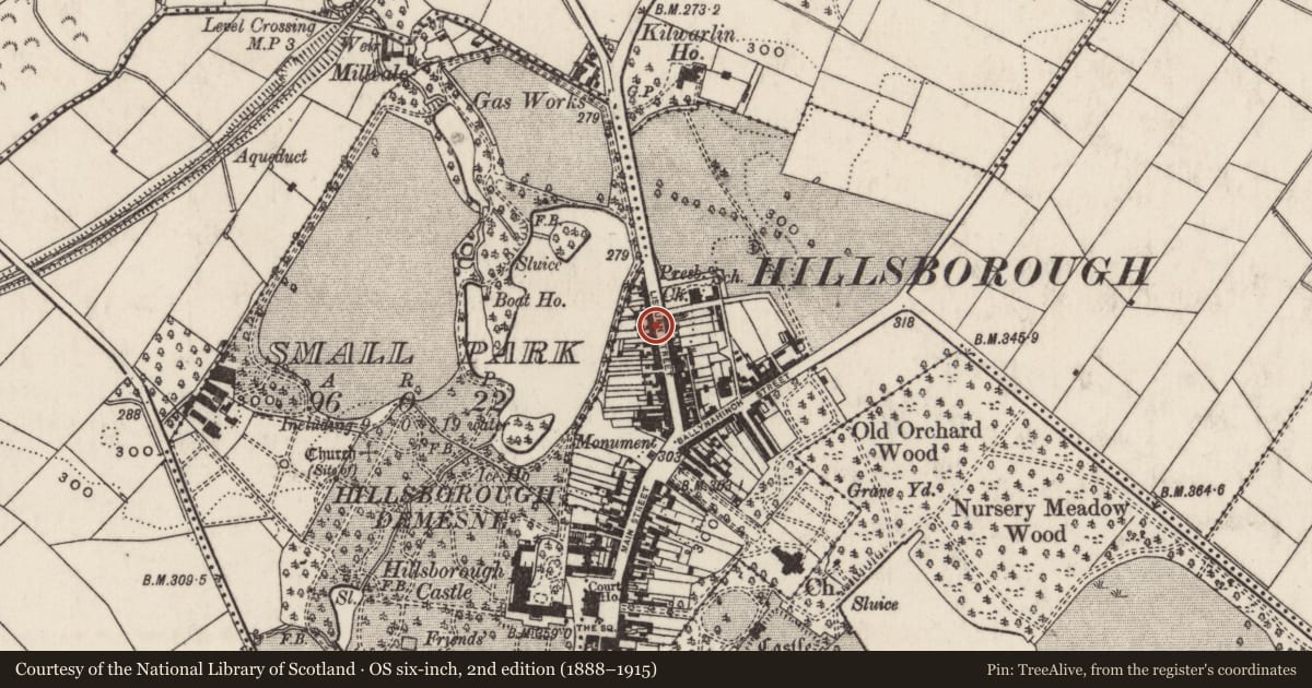 Ordnance Survey six-inch map, 2nd edition (1888–1915) covering the location of 42 Lisburn Street, Lisburn and Castlereagh, with a pin at the register's coordinates