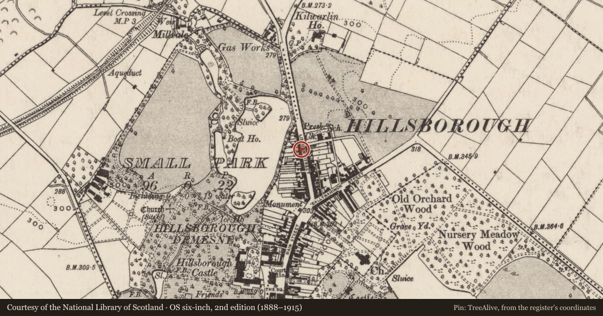 Ordnance Survey six-inch map, 2nd edition (1888–1915) covering the location of 44 Lisburn Street, Lisburn and Castlereagh, with a pin at the register's coordinates