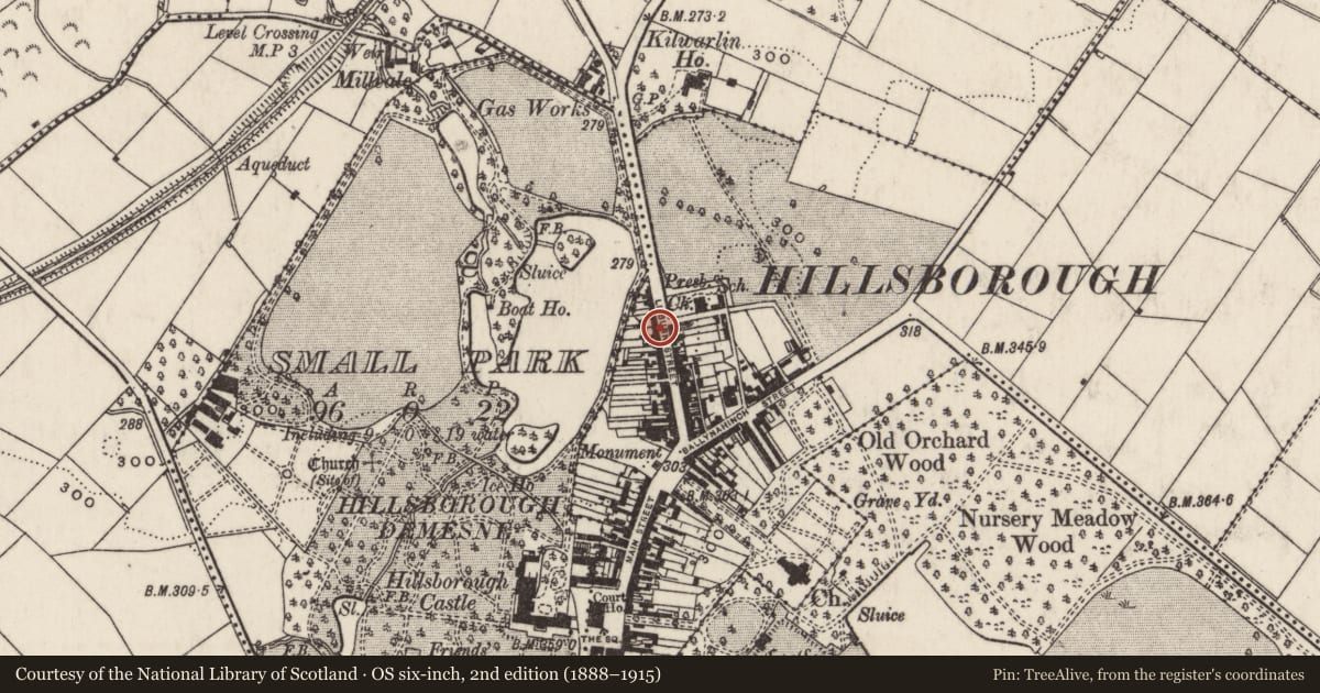 Ordnance Survey six-inch map, 2nd edition (1888–1915) covering the location of 46 Lisburn Street, Lisburn and Castlereagh, with a pin at the register's coordinates