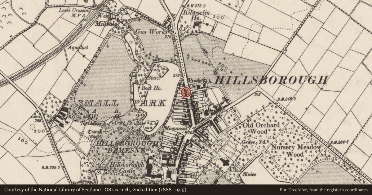 Ordnance Survey six-inch map, 2nd edition (1888–1915) covering the location of The Parson’s Nose, Lisburn and Castlereagh, with a pin at the register's coordinates