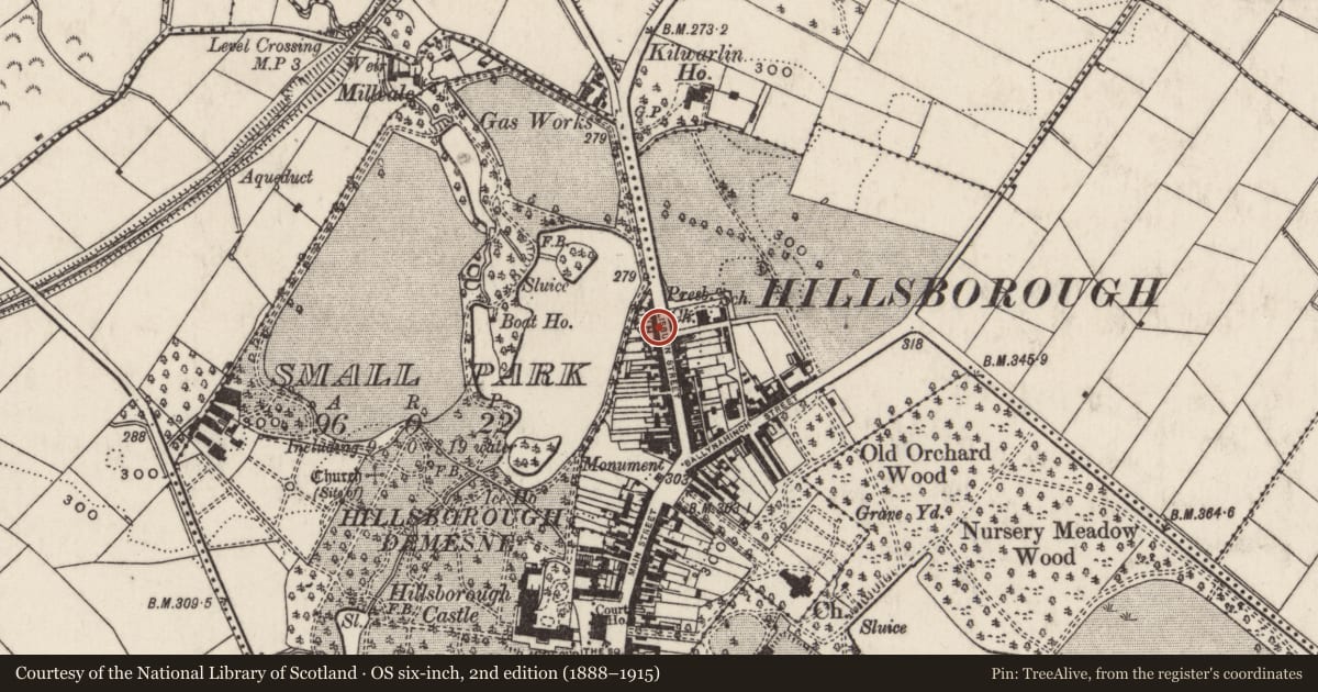 Ordnance Survey six-inch map, 2nd edition (1888–1915) covering the location of 50 Lisburn Street, Lisburn and Castlereagh, with a pin at the register's coordinates