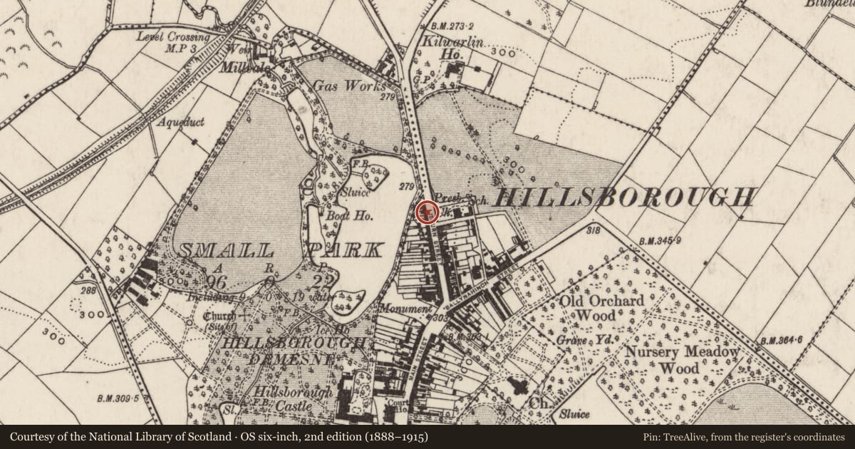 Ordnance Survey six-inch map, 2nd edition (1888–1915) covering the location of 54 Lisburn Street, Hillsborough, Lisburn and Castlereagh, with a pin at the register's coordinates