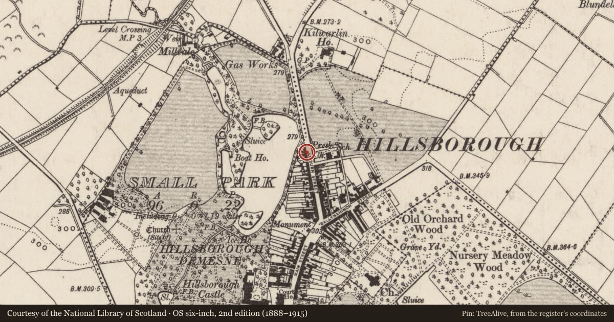 Ordnance Survey six-inch map, 2nd edition (1888–1915) covering the location of 56 Lisburn Street, Hillsborough, Lisburn and Castlereagh, with a pin at the register's coordinates