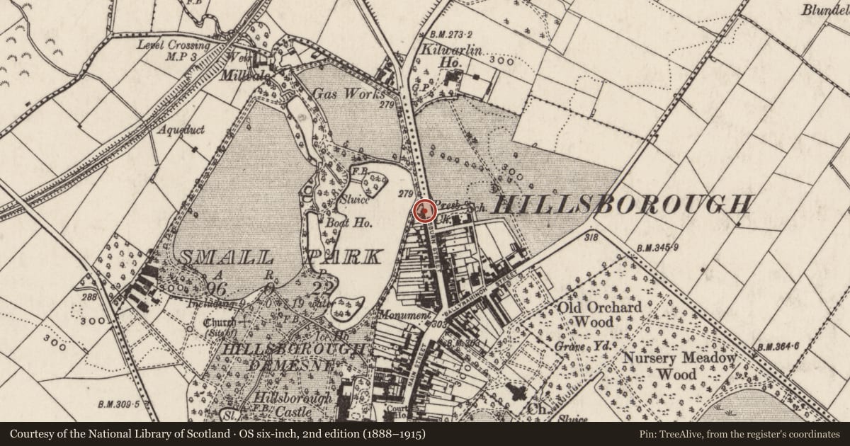 Ordnance Survey six-inch map, 2nd edition (1888–1915) covering the location of 58 Lisburn Street, Lisburn and Castlereagh, with a pin at the register's coordinates