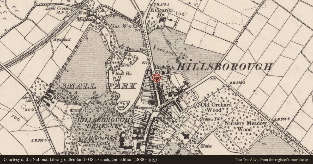 Ordnance Survey six-inch map, 2nd edition (1888–1915) covering the location of 47 Lisburn Street, Hillsborough, Lisburn and Castlereagh, with a pin at the register's coordinates