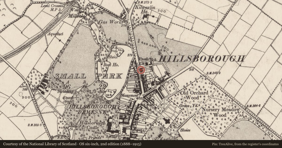 Ordnance Survey six-inch map, 2nd edition (1888–1915) covering the location of 45 Lisburn Street, Hillsborough, Lisburn and Castlereagh, with a pin at the register's coordinates