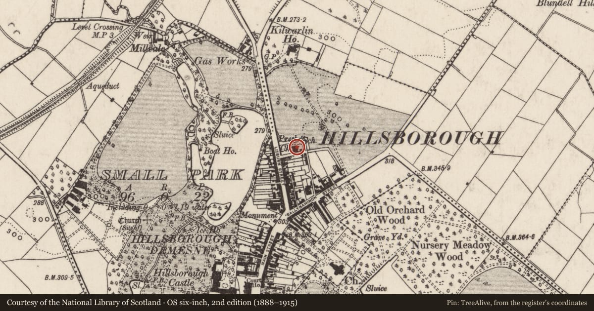 Ordnance Survey six-inch map, 2nd edition (1888–1915) covering the location of Hillsborough Presbyterian Church, Lisburn and Castlereagh, with a pin at the register's coordinates