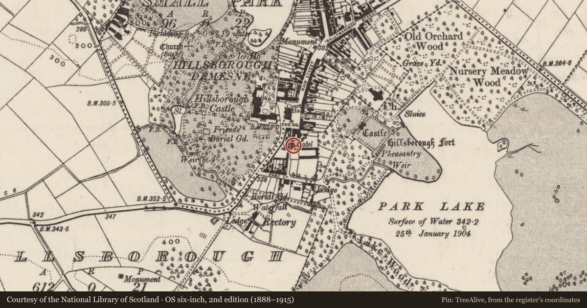 Ordnance Survey six-inch map, 2nd edition (1888–1915) covering the location of 2 Park Lane, Lisburn and Castlereagh, with a pin at the register's coordinates