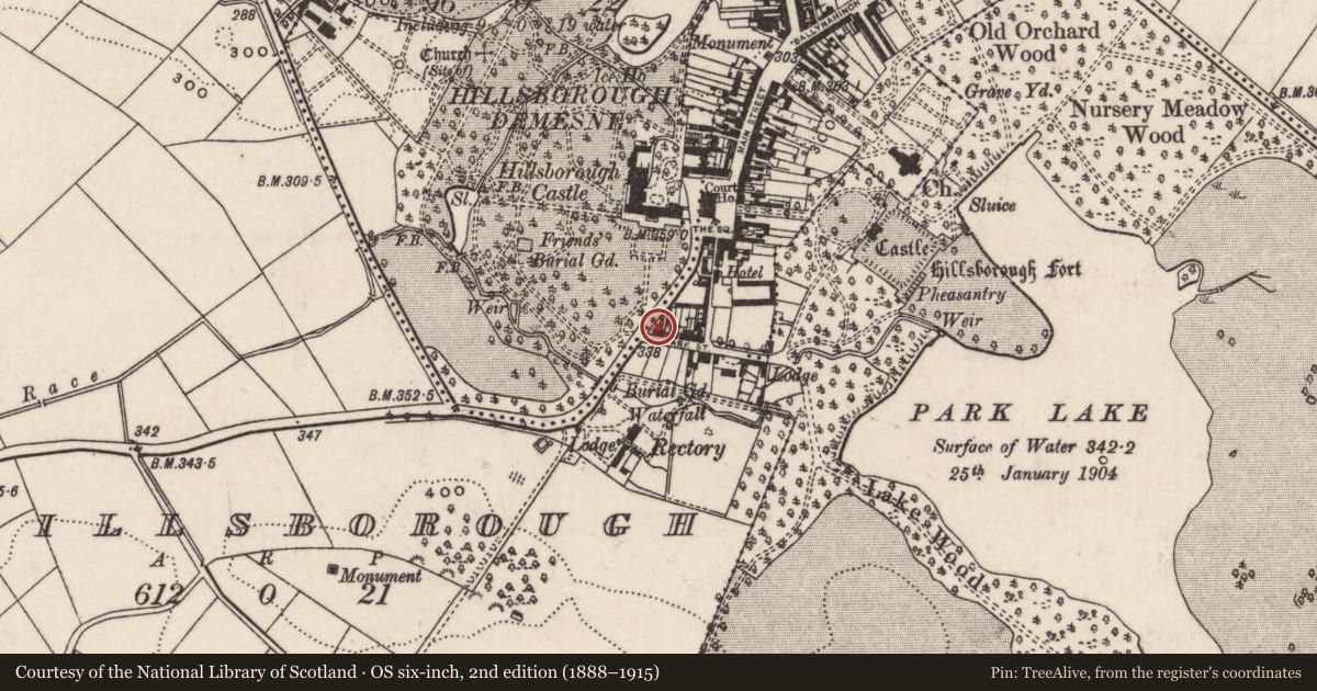 Ordnance Survey six-inch map, 2nd edition (1888–1915) covering the location of 2 Park Street, Hillsborough, Lisburn and Castlereagh, with a pin at the register's coordinates