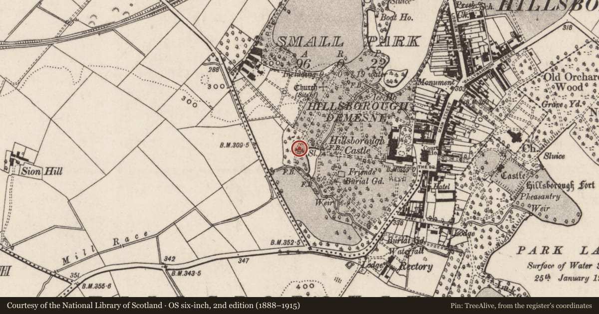 Ordnance Survey six-inch map, 2nd edition (1888–1915) covering the location of The Lady Alice Temple, Small Park, Lisburn and Castlereagh, with a pin at the register's coordinates