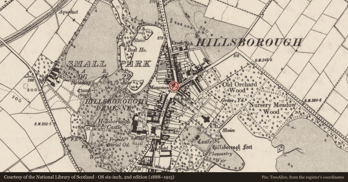 Ordnance Survey six-inch map, 2nd edition (1888–1915) covering the location of 3 Main Street, Lisburn and Castlereagh, with a pin at the register's coordinates