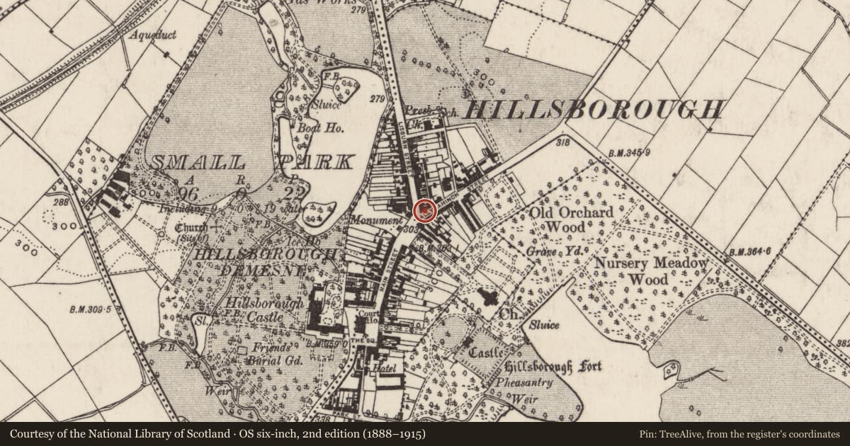Ordnance Survey six-inch map, 2nd edition (1888–1915) covering the location of 1-3 Ballynahinch Street, Lisburn and Castlereagh, with a pin at the register's coordinates