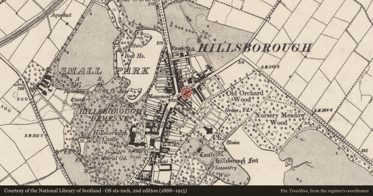 Ordnance Survey six-inch map, 2nd edition (1888–1915) covering the location of 9 Ballynahinch Street, Lisburn and Castlereagh, with a pin at the register's coordinates