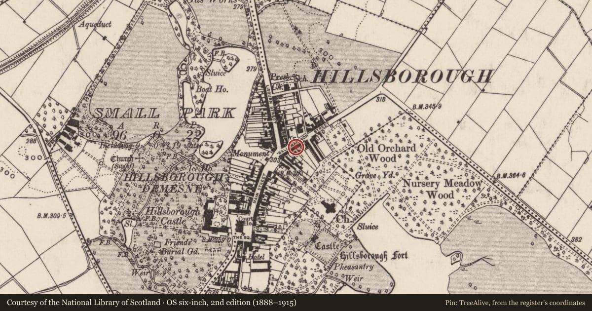 Ordnance Survey six-inch map, 2nd edition (1888–1915) covering the location of Patterson’s Pharmacy, Lisburn and Castlereagh, with a pin at the register's coordinates